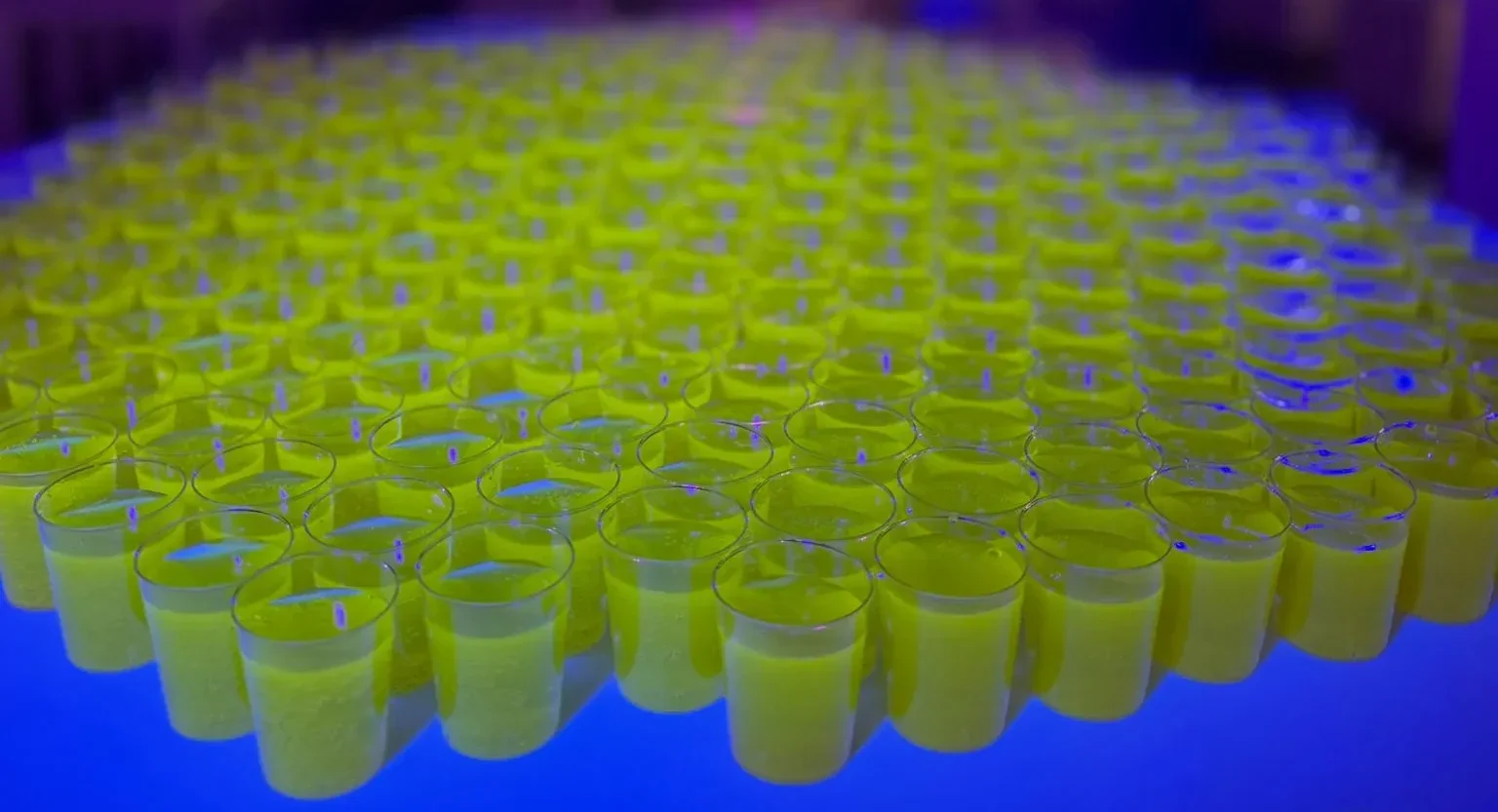 Kilkaset kieliszków z fluorescencyjnym zielonym shotem ustawionych w równych rzędach